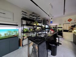 Geylang Road (D14), Shop House #600640151